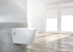 Ideal Standard ProSys - Conjunto De Módulo De Instalación En Pared, Ducha De Bidé Y Asiento TECEone, Pulsador Oleas M1, Rimless, SoftClose, Cromo Mate ProSys120M SP59 25 Ideal Standard ProSys - Conjunto De Módulo De Instalación En Pared, Ducha De Bidé Y Asiento TECEone, Pulsador Oleas M1, Rimless, SoftClose, Cromo Mate ProSys120M SP59 -Ideal Standard Ventas 326f46c22f84fddf09fe03d9 2