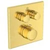 Ideal Standard CeraTherm Navigo - Grifo Termostático Empotrado Para Ducha Para 2 Dispositivos, Brushed Gold A7302A2 -Ideal Standard Ventas 5c6bd7ce36202447298b7a57